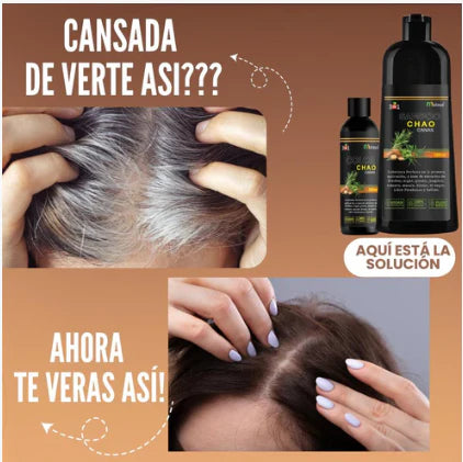 CHAMPÚ CHAO CANAS +TRATAMIENTO